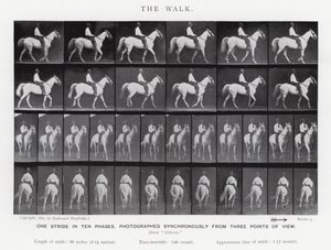 Eadweard Muybridge: The Walk (صورة b / w) بواسطة ايدويرد مويبريدج