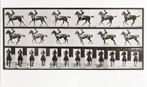 الحصان والفارس ، اللوحة 621 من تحريك الحيوانات ، 1887 بواسطة ايدويرد مويبريدج