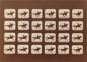 خيل. جري. Phyrne L. رقم 40 بواسطة ايدويرد مويبريدج