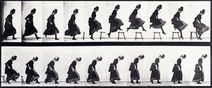 دراسة الحركة ، 1872-1885 بواسطة ايدويرد مويبريدج