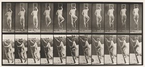 Plate 111. Ascending Ladder بواسطة ايدويرد مويبريدج