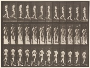 Plate 116. Descending Incline, One Hand On Chin بواسطة ايدويرد مويبريدج