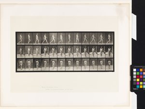 Plate 11.Walking بواسطة ايدويرد مويبريدج