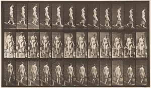 Plate 121. Descending Incline, Bucket of Water in Each Hand بواسطة ايدويرد مويبريدج