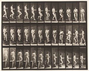 Plate 144. Descending Stairs; Turning Basin in Hands بواسطة ايدويرد مويبريدج