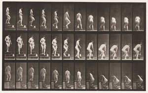 صفيحة 149. الدرج النازل ؛ الانحناء لرفع إبريق 1872-1885 بواسطة ايدويرد مويبريدج
