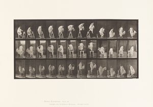 صحن 172. يخطو على الركائز ؛ القفز لأسفل ، تحول ، 1885 بواسطة ايدويرد مويبريدج