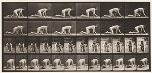 Plate 182. Crawling On Hands and Knees بواسطة ايدويرد مويبريدج