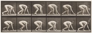 Plate 183. Walking on Hands and Feet بواسطة ايدويرد مويبريدج