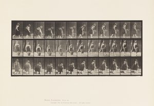 صفيحة 2177. سلال ورفع وحمل سلة 30 رطل 1885 بواسطة ايدويرد مويبريدج
