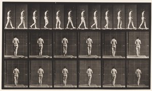 Plate 21. Walking, Both Elbows Bent بواسطة ايدويرد مويبريدج