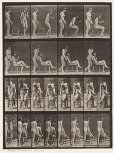 Plate 239. Two Models;One Standing,the Other Sitting,Crossing Legs بواسطة ايدويرد مويبريدج
