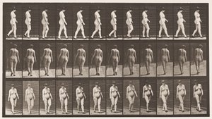 Plate 24. Walking, With High-Heeled Shoes On بواسطة ايدويرد مويبريدج