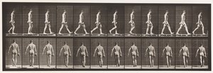 اللوحة 28. المشي ، تحمل 50 رطلا من Dumb-Bell في اليد اليمنى ، 1872-1885 بواسطة ايدويرد مويبريدج