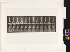 Plate 30. Walking, Carrying Bucket of Water in Each Hand بواسطة ايدويرد مويبريدج