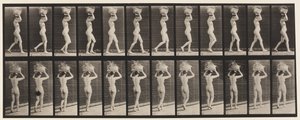 اللوحة 33. المشي 14 رطل. سلة على الرأس ، رفع اليدين ، 1872-1885 بواسطة ايدويرد مويبريدج