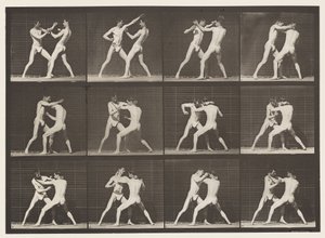 Plate 340. Boxing; Open Hand بواسطة ايدويرد مويبريدج