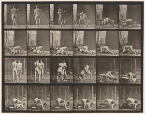 Plate 346. Wrestling, Lock بواسطة ايدويرد مويبريدج