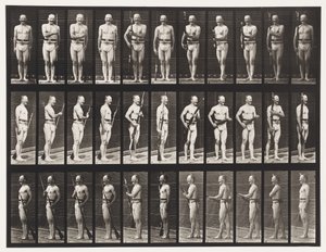 صفيحة 351. حواجز تثبيت وإلغاء الفتح ، 1872-1885 بواسطة ايدويرد مويبريدج