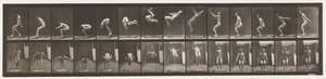 Plate 362. Back Somersault بواسطة ايدويرد مويبريدج