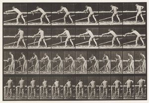 اللوحة 379. نجار ، تخطيط لوحة ، 1872-1885 بواسطة ايدويرد مويبريدج