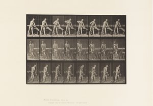 اللوحة 380. نجار ، النشر ، 1872-1885 بواسطة ايدويرد مويبريدج