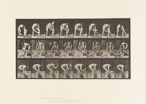 Plate 381. Mason, Laying a Brick بواسطة ايدويرد مويبريدج