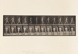 اللوحة 389. مزارع البذور المتناثرة 1872-1885 بواسطة ايدويرد مويبريدج