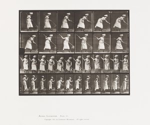 لوحة 456. ركينج هاي ، 1885 بواسطة ايدويرد مويبريدج