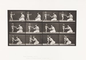 لوحة 465. طرازين ، طفل 70 شمال ، ليصل الباقة إلى 12 ، 1885 بواسطة ايدويرد مويبريدج
