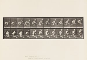 اللوحة 472.الطفل ، الزحف في الطابق العلوي ، 1885 (صورة مجمّعة على ورق) بواسطة ايدويرد مويبريدج