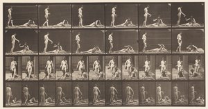 صفيحة 485. نموذجان ؛ أ ، 10 واقفا وملء كأس ؛ 1872-1885 بواسطة ايدويرد مويبريدج
