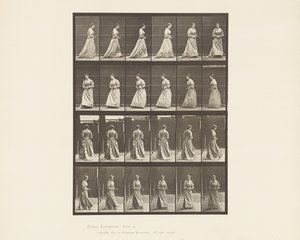 اللوحة 48. المشي والالتفاف حول باقة في كلتا يديه ، 1885 بواسطة ايدويرد مويبريدج