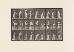 صفيحة 496. مراحل المرحاض المختلفة ، 1885 بواسطة ايدويرد مويبريدج