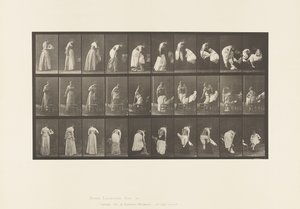 صفيحة 497- مراحل المرحاض المختلفة ، 1885 بواسطة ايدويرد مويبريدج