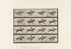 لوحة 626. خليج أصيل Mare Annie G. بواسطة ايدويرد مويبريدج