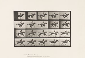 لوحة 627. خليج أصيل Mare Annie G. بواسطة ايدويرد مويبريدج