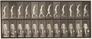 Plate 84. Ascending Incline, Bucket of Water in Right Hand بواسطة ايدويرد مويبريدج
