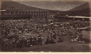 بلازا وقصر نائب الملك - أنتيغوا دي غواتيمالا، 1877 (صورة فوتوغرافية) بواسطة ايدويرد مويبريدج