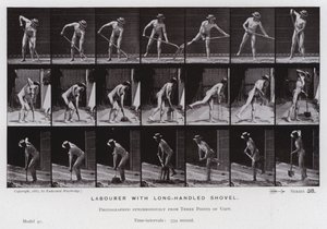 The Human Figure in Motion: Labourer with long-handled shovel (b/w photo) بواسطة ايدويرد مويبريدج