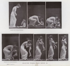 الشكل البشري في الحركة: مراحل محددة من السلسلة 80 (صورة b / w) بواسطة ايدويرد مويبريدج