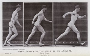 The Human Figure in Motion: Some phases in the walk of an athlete (b/w photo) بواسطة ايدويرد مويبريدج
