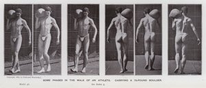 The Human Figure in Motion: Some phases in the walk of an athlete, carrying a 75-pound boulder (b/w photo) بواسطة ايدويرد مويبريدج