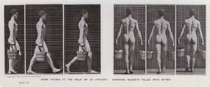 The Human Figure in Motion: Some phases in the walk of an athlete, carrying buckets filled with water (b/w photo) بواسطة ايدويرد مويبريدج