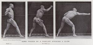 The Human Figure in Motion: Some phases of a pugilist striking a blow (b/w photo) بواسطة ايدويرد مويبريدج