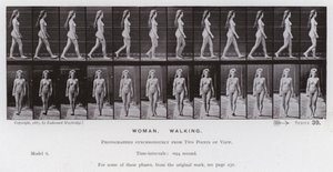 The Human Figure in Motion: Woman, Walking (b/w photo) بواسطة ايدويرد مويبريدج
