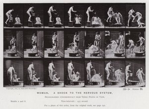 The Human Figure in Motion: Woman, a shock to the nervous system (b/w photo) بواسطة ايدويرد مويبريدج