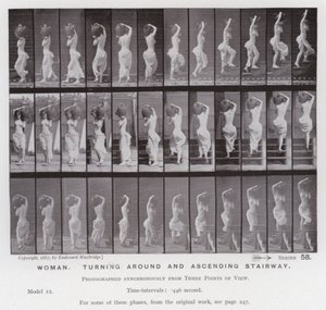 The Human Figure in Motion: Woman, turning around and ascending stairway (b/w photo) بواسطة ايدويرد مويبريدج