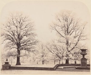 Hoarfrost ، مشهد متنزه بواسطة ايرل كيثنيس