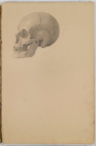 كتاب تشريح ، 1849 (كراسة رسم يحتوي على رسومات في الجرافيت) بواسطة ايستمان جونسون